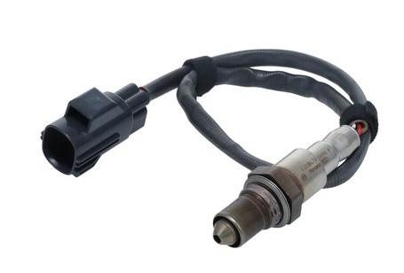 Photo AUTMOTSONLAMB01