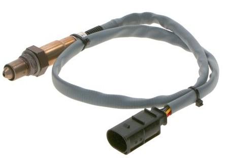 Photo AUTMOTSONLAMB57